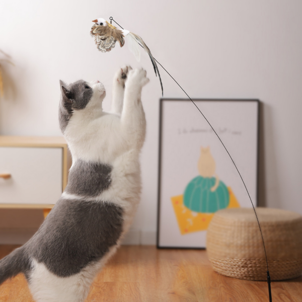 Simulation Bird interactive Cat Toy Funny Feather Bird with Bell Cat Stick Toy for Kitten Playing Teaser Wand Toy Cat Supplies 4