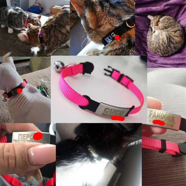 Personalized ID Free Engraving Cat Collar Safety Breakaway Small Dog Cute Nylon Adjustable for Puppy Kittens Necklace 5