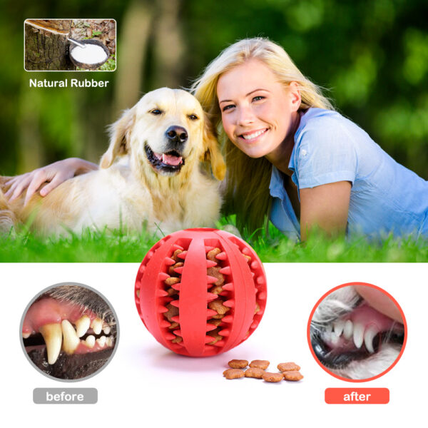 Pet Dog Toy Interactive Rubber Balls for Small Large Dogs Puppy Cat Chewing Toys Pet Tooth Cleaning Indestructible Dog Food Ball 3