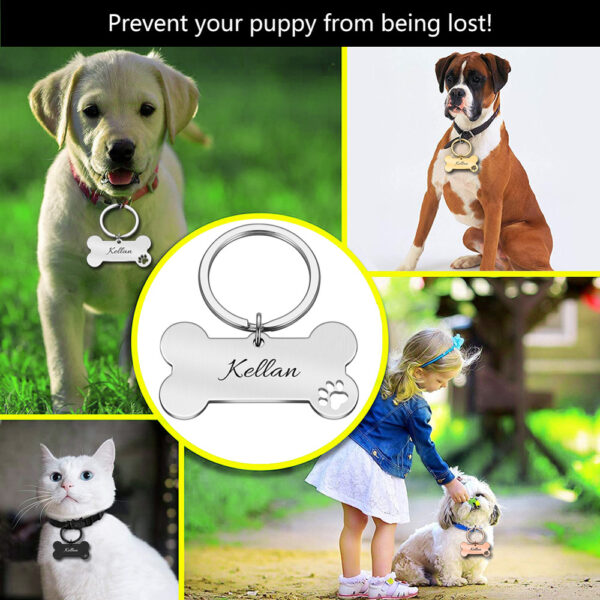 Personalized Collar Pet ID Tag Engraved Pet ID Name for Cat Puppy Dog Tag Pendant Keyring Bone Tag Pet Accessories Dropshipping 3