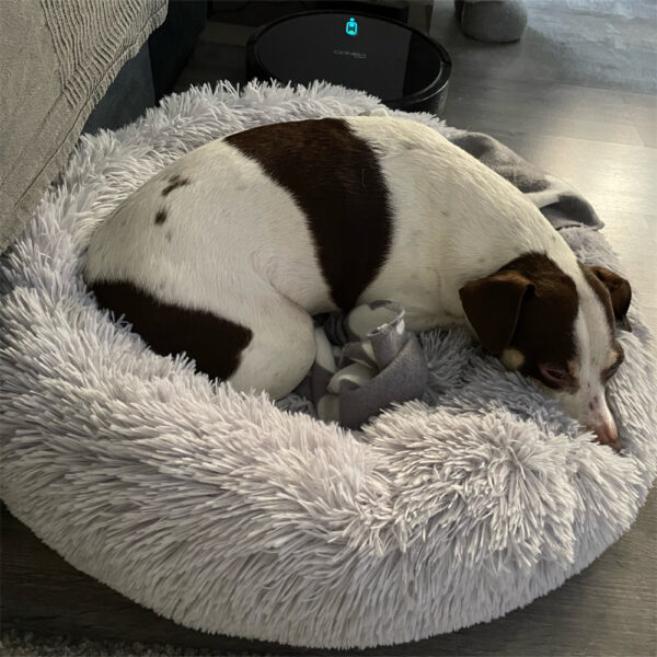 Super Soft Dog Bed Plush Cat Mat Dog Beds For Large Dogs Bed Labradors House Round Cushion Pet Product Accessories 4