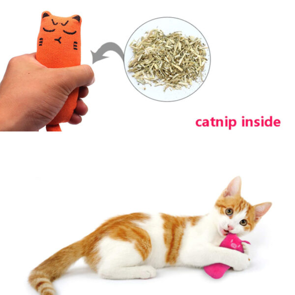 Rustle Sound Catnip Toy Cats Products for Pets Cute Cat Toys for Kitten Teeth Grinding Cat Plush Thumb Pillow Pet Accessories 2