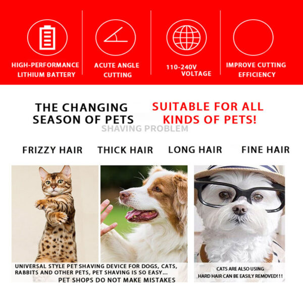 Dog Hair Clipper pet Hair Trimmer Puppy Grooming Electric Shaver Set Cat Accessories Ceramic Blade Recharge Profession supplies 2