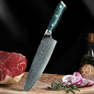 AIIWIN 8 Inch Chef Knives VG10 67 Layer Damascus Kitchen Knife Artistic Blue Resin Ergonomic Handle Super Sharp Kitchen Tools 2