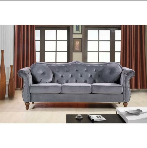 Luxury Living Room Sofa 2 Piece Velvet Living Room Set with Solid + Manufactured Wood 5