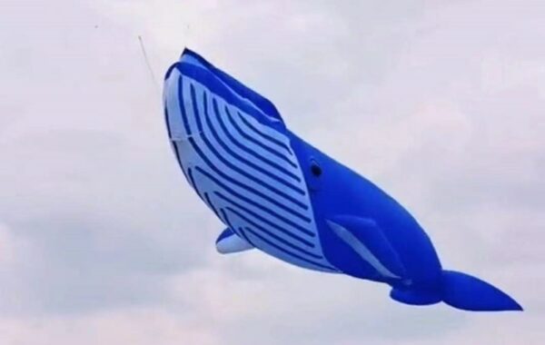 free shipping 20m whale kite pendant large kite flying shark kite nylon fabric professional kite factory weifang kaixuan kite 6