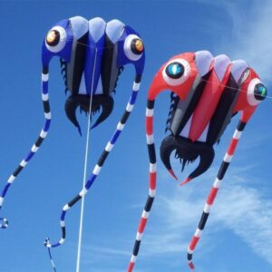 KITE-Large Easy Flyer  Soft Kites 16sqm Trilobite-It's Big  Custome Made factory Outlet 1