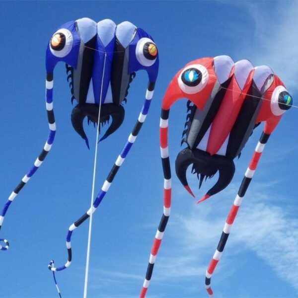 KITE-Large Easy Flyer Soft Kites 16sqm Trilobite-It's Big Custome Made factory Outlet 1