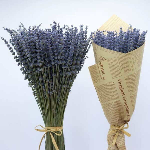 Natural Lavender Bouquet Immortal Fresh Dried Lavender Flower Bunches Decoration DIY Home Office Banquet Wedding Decoration 1