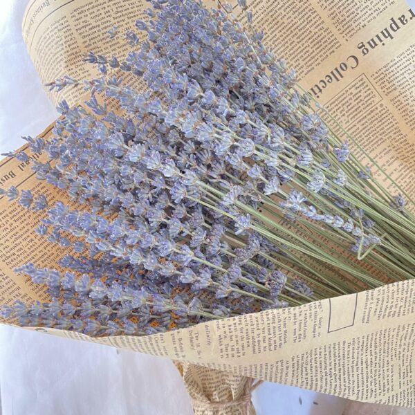 Natural Lavender Bouquet Immortal Fresh Dried Lavender Flower Bunches Decoration DIY Home Office Banquet Wedding Decoration 3