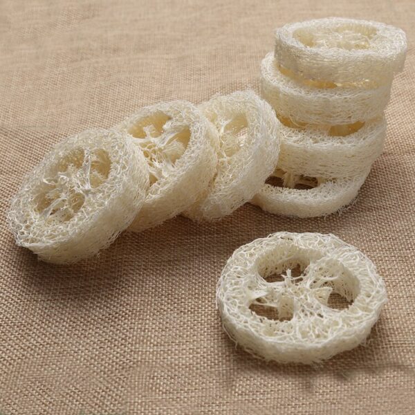 Wholesale 100pcs Natural Loofah Luffa Loofa Slices Handmade Loofah Soap Box Tray Tools Cleanner Sponge Facial Soap Holder 5