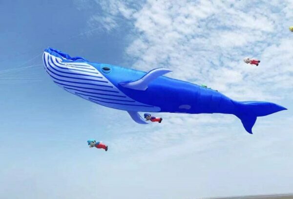 free shipping 20m whale kite pendant large kite flying shark kite nylon fabric professional kite factory weifang kaixuan kite 3