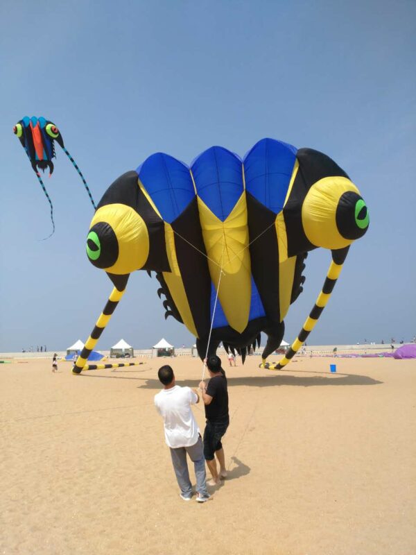 KITE-Large Easy Flyer Soft Kites 16sqm Trilobite-It's Big Custome Made factory Outlet 6