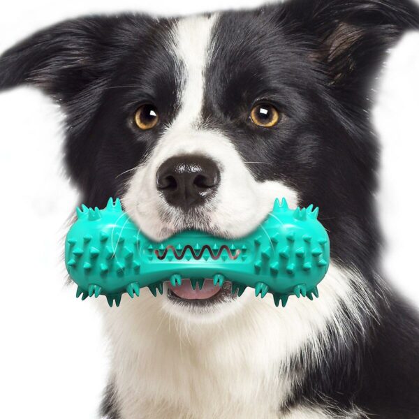 Rubber Pet Dog Teeth Cleaning Chew Toy-blue