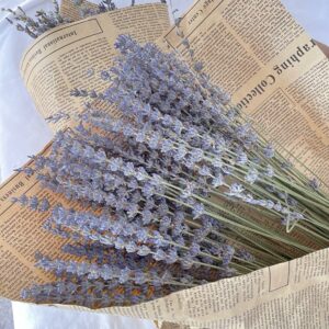 Natural Lavender Bouquet Immortal Fresh Dried Lavender Flower Bunches Decoration DIY Home Office Banquet Wedding Decoration 2