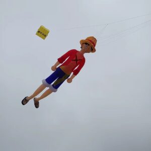 new arrival 6m kite pendant soft inflatable kite 1