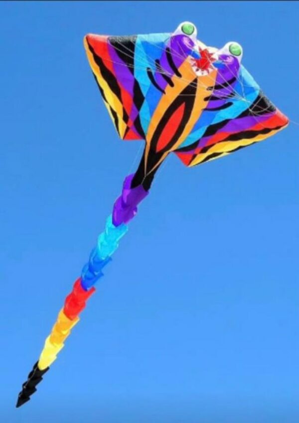 free shipping large kite flying 15m ray fish kite for adults kite devil fish folding kite buggy flynova pro snake kite winder 5