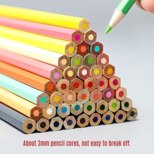 12 Colored Pencils Set SKYGLORY  Pre-Sharpened Oil Color Pencils with Metal Storage Case Art Supplies for Children Students 1