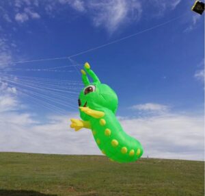 5m Cartoon software kite  soft kite inflatable pendants windsock Socks flying toy outdoor fun large kites ripstop nylon fabric 1