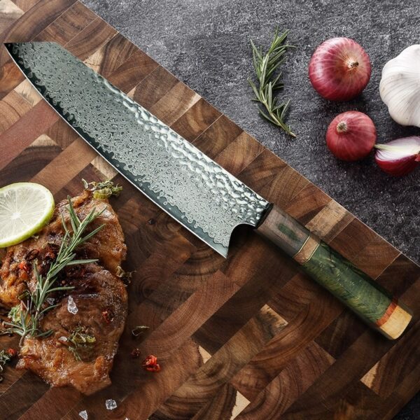 8 Inch Chef Knife 67 Layers VG10 Damascus Steel Kitchen Knives Stabilized Colored Wood Handle Professional Japanese Knife 1