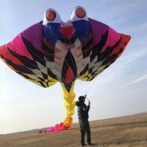 free shipping large kite flying 15m ray fish kite for adults kite devil fish folding kite buggy flynova pro snake kite winder 2