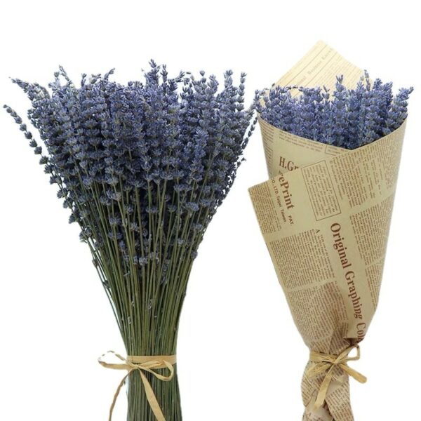 Natural Lavender Bouquet Immortal Fresh Dried Lavender Flower Bunches Decoration DIY Home Office Banquet Wedding Decoration 5