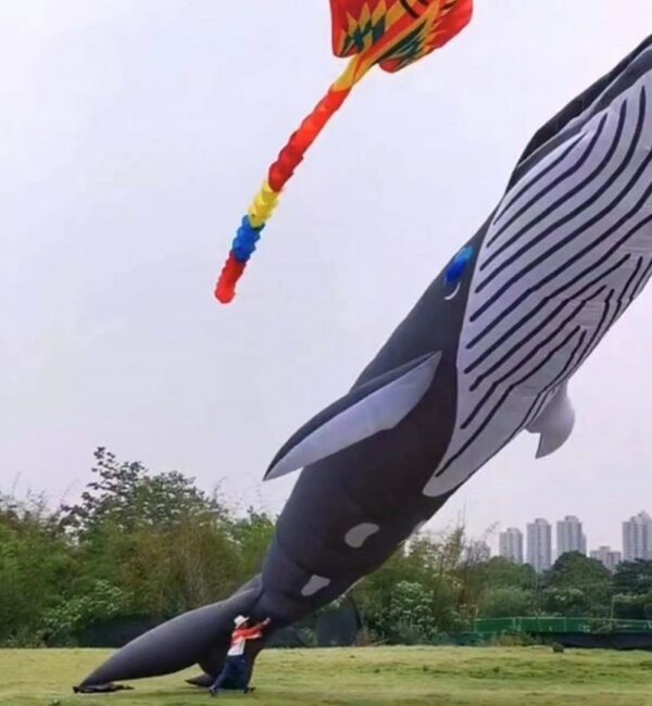 free shipping 20m whale kite pendant large kite flying shark kite nylon fabric professional kite factory weifang kaixuan kite 4