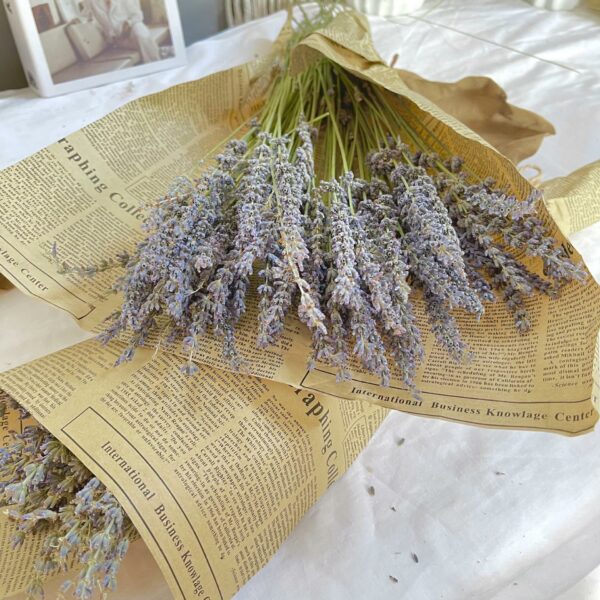 Natural Lavender Bouquet Immortal Fresh Dried Lavender Flower Bunches Decoration DIY Home Office Banquet Wedding Decoration 4